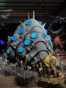 金曜ロードショーとジブリ展　三重展に投稿された画像（2025/2/6）