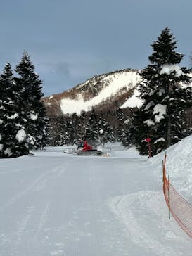 志賀高原焼額山スキー場に投稿された画像（2025/2/6）