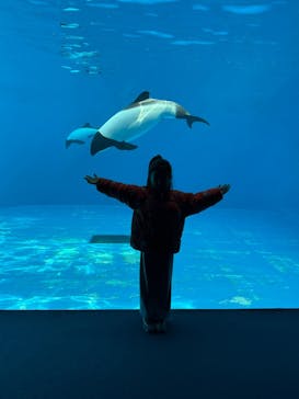 仙台うみの杜水族館に投稿された画像（2025/2/6）