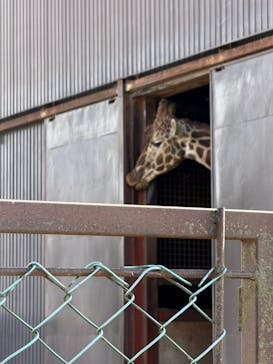 東北サファリパークに投稿された画像（2025/2/6）