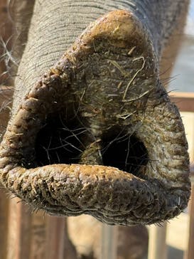 東北サファリパークに投稿された画像（2025/2/6）