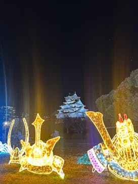 大阪城イルミナージュに投稿された画像（2025/2/6）