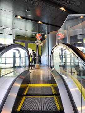 ストリートアートの進化と革命 展　- Street Art (R)Evolution -に投稿された画像（2025/2/6）