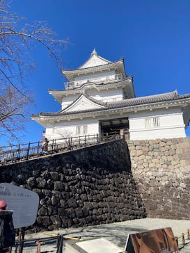 小田原城に投稿された画像（2025/2/6）