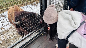 那須サファリパークに投稿された画像（2025/2/6）