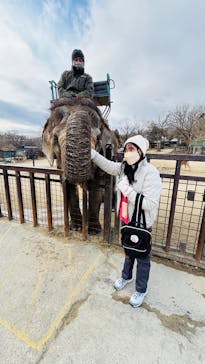 那須サファリパークに投稿された画像（2025/2/6）