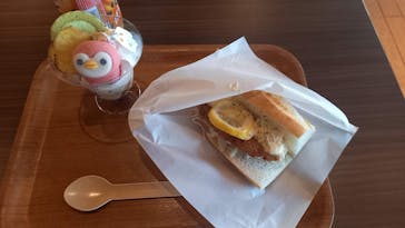 京都水族館に投稿された画像（2025/2/6）