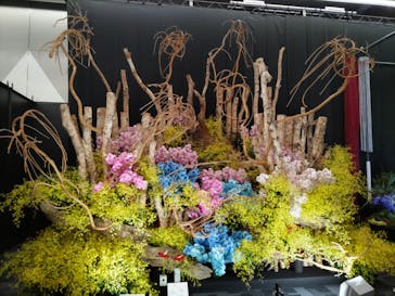 世界らん展2026-花と緑の祭典-に投稿された画像（2025/2/6）