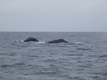 Sea World（シーワールド）に投稿された画像（2025/2/6）