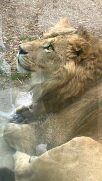 名古屋市東山動植物園に投稿された画像（2025/2/7）