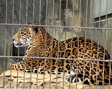 名古屋市東山動植物園に投稿された画像（2025/2/7）