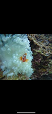 武藤潜水に投稿された画像（2025/2/7）