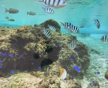 武藤潜水に投稿された画像（2025/2/7）