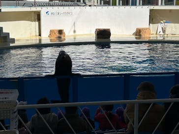 伊豆・三津シーパラダイスに投稿された画像（2025/2/7）