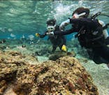 青の洞窟専門店　沖縄ダイビングショップ和に投稿された画像（2025/2/7）