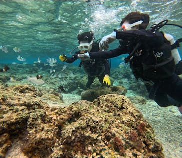 青の洞窟専門店　沖縄ダイビングショップ和に投稿された画像（2025/2/7）