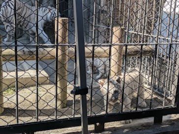 東武動物公園に投稿された画像（2025/2/7）