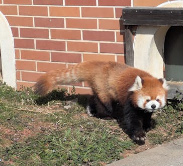 東武動物公園に投稿された画像（2025/2/7）