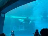 名古屋港水族館に投稿された画像（2025/2/7）