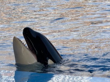 名古屋港水族館に投稿された画像（2025/2/7）