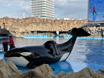 名古屋港水族館に投稿された画像（2025/2/7）