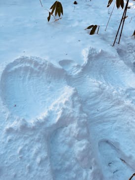 n.s rideに投稿された画像（2025/2/7）