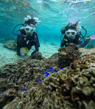 沖縄マリンサービス碧に投稿された画像（2025/2/7）