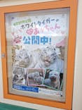 東武動物公園に投稿された画像（2025/2/7）