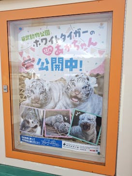 東武動物公園に投稿された画像（2025/2/7）