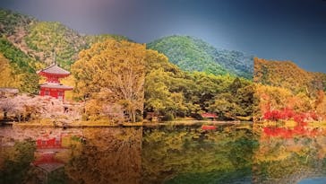 特別展「旧嵯峨御所 大覚寺 －百花繚乱 御所ゆかりの絵画－」（東京国立博物館）に投稿された画像（2025/2/7）