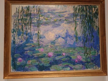 モネ 睡蓮のとき（国立西洋美術館）に投稿された画像（2025/2/7）
