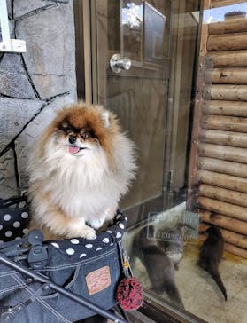 伊豆・三津シーパラダイスに投稿された画像（2025/2/7）