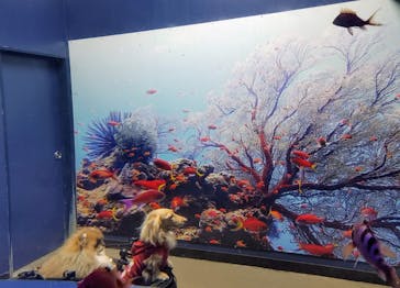 伊豆・三津シーパラダイスに投稿された画像（2025/2/7）