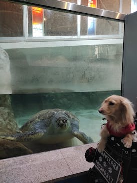 伊豆・三津シーパラダイスに投稿された画像（2025/2/7）