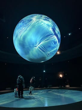 NIFREL（ニフレル）に投稿された画像（2025/2/7）