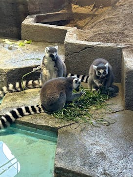 NIFREL（ニフレル）に投稿された画像（2025/2/7）