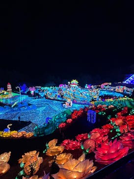 伊豆高原グランイルミに投稿された画像（2025/2/7）