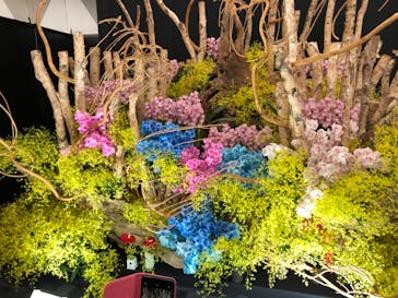 世界らん展2026-花と緑の祭典-に投稿された画像（2025/2/7）