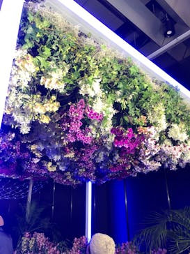 世界らん展2026-花と緑の祭典-に投稿された画像（2025/2/7）