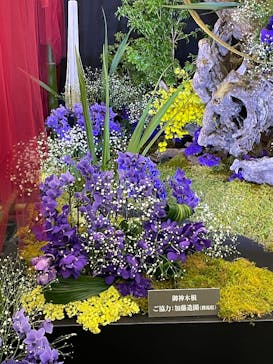 世界らん展2026-花と緑の祭典-に投稿された画像（2025/2/7）