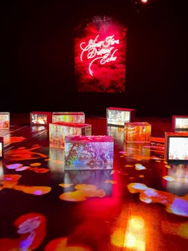 蜷川実花展 with EiM：彼岸の光、此岸の影 NINAGAWA Mika with EiM：Lights of the beyond, Shadows of this worldに投稿された画像（2025/2/7）