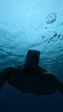  マリンショップHAPPYに投稿された画像（2025/2/7）