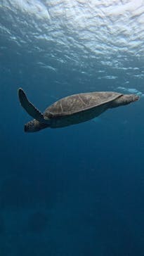  マリンショップHAPPYに投稿された画像（2025/2/7）