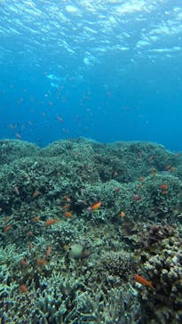  マリンショップHAPPYに投稿された画像（2025/2/7）