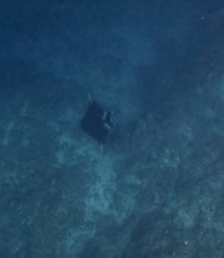  マリンショップHAPPYに投稿された画像（2025/2/7）