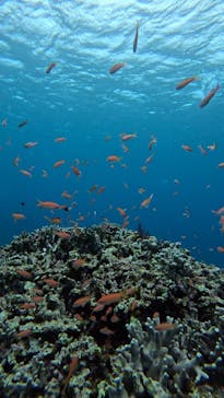  マリンショップHAPPYに投稿された画像（2025/2/7）