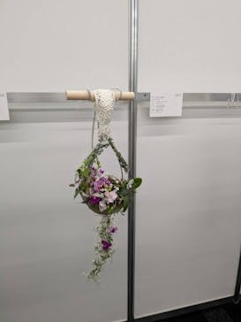 世界らん展2026-花と緑の祭典-に投稿された画像（2025/2/7）