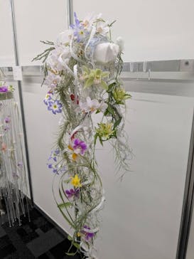 世界らん展2026-花と緑の祭典-に投稿された画像（2025/2/7）