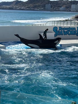 鴨川シーワールドに投稿された画像（2025/2/7）