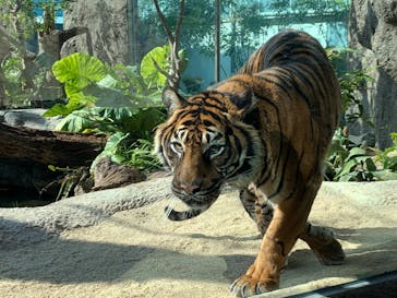 神戸どうぶつ王国に投稿された画像（2025/2/7）